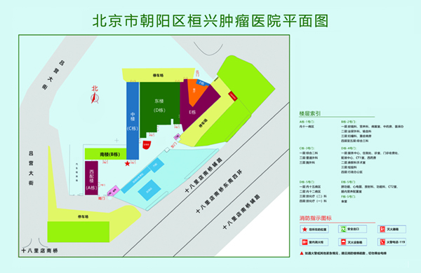 17.c-起草大鸡操北京市朝阳区桓兴肿瘤医院平面图